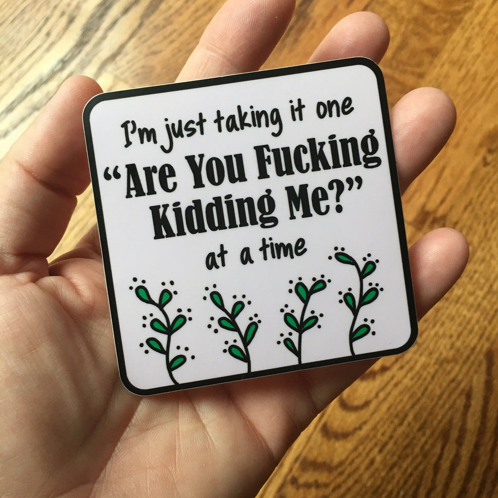 I'm Just Taking It One "Are You Fucking Kidding Me? At a Time Laptop Stickers | WTF? Vinyl Bottle Decals | VSCO Sticker Self Stick Labels