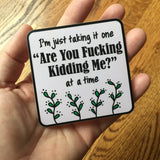 I'm Just Taking It One "Are You Fucking Kidding Me? At a Time Laptop Stickers | WTF? Vinyl Bottle Decals | VSCO Sticker Self Stick Labels