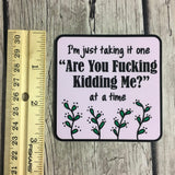 I'm Just Taking It One "Are You Fucking Kidding Me? At a Time Laptop Stickers | WTF? Vinyl Bottle Decals | VSCO Sticker Self Stick Labels