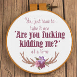 One Day at A Time F-cking Kidding Me cross stitch