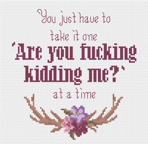 One Day at A Time F-cking Kidding Me cross stitch