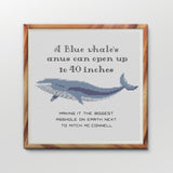 A Blue whale's anus can open up to 40 inches, making it the biggest asshole on earth next to Mitch McConnell Snarky Cross Stitch Pattern